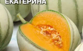 ПРИНЦЕССА ЕКАТЕРИНА