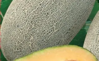 КАРАМЕЛЬНАЯ