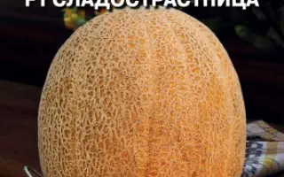 СЛАДОСТРАСТНИЦА