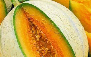 СЛАДКОЕЖКА