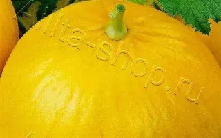 МЕДОВЫЕ СОТЫ