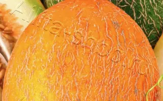 МЕДОВАЯ ЛАКОМКА