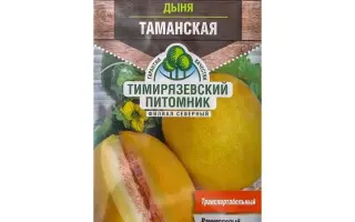 ТИМИРЯЗЕВСКАЯ РАННЯЯ