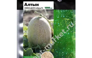 АЛТЫН