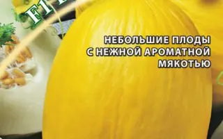 ЦЫПОЧКА