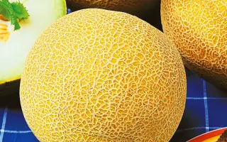 ОСЕННЯЯ РАДОСТЬ