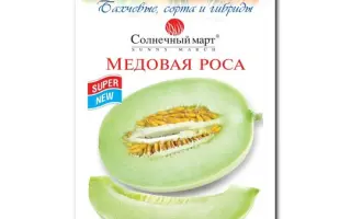 МЕДОВАЯ РОСА