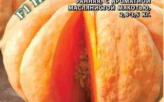 НЕОБЫЧАЙНАЯ