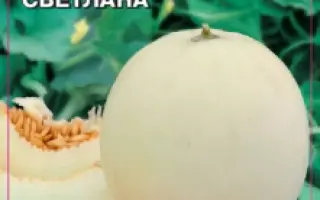 ПРИНЦЕССА СВЕТЛАНА