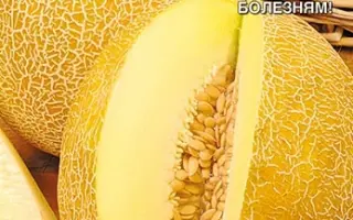 ОРИГИНАЛЬНАЯ