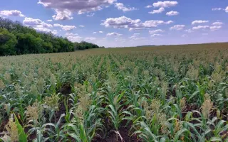 СЛАВЯНСКОЕ ПОЛЕ ВС