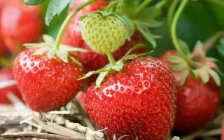 ВЫСТАВОЧНАЯ