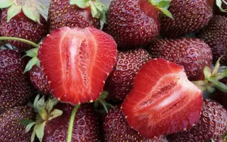 РУБИНОВЫЙ КУЛОН