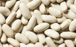 БЕЗЕНЧУКСКАЯ БЕЛАЯ