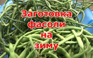 КУПАВА