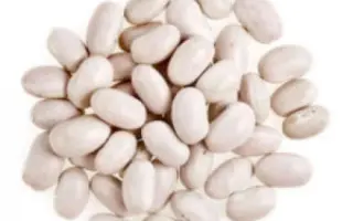 САМАРСКАЯ БЕЛАЯ