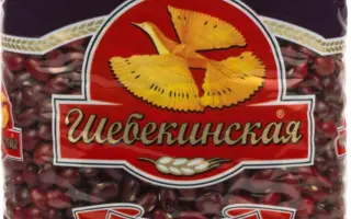 ЮЖАНКА