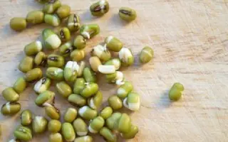 ЗОЛОТИСТАЯ