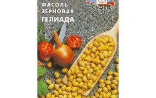 ГЕЛИАДА
