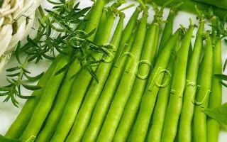 САКСА БЕЗ ВОЛОКНА 615