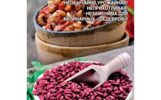 УРАЛЬСКИЙ ДАЧНИК