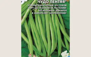 ЧУДО ЛЕНТЯЯ