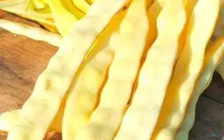 ВОДОПАД ЖЕЛТЫЙ