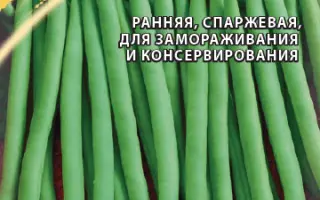 ВОДОПАД ЗЕЛЕНЫЙ