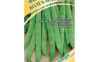 ВОЛГА-МАТУШКА