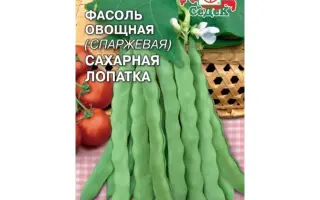 ВОРОНЕЖСКАЯ САХАРНАЯ