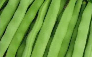 ХАВСКАЯ УНИВЕРСАЛЬНАЯ