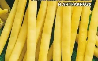 СНЕГУРОЧКА