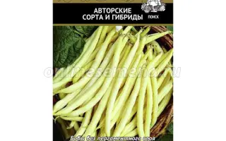 ЗОЛОТАЯ ПРИНЦЕССА