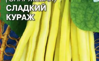 СЛАДКИЙ КУРАЖ