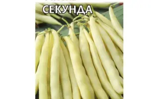 СЕКУНДА