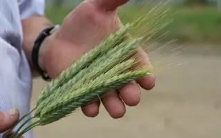 АЛАТЫРСКАЯ 75