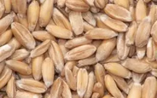 СТАВРОПОЛЬСКИЙ 5