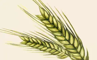 БОТАНИЧЕСКАЯ 4