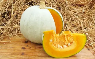 ГРИБОВСКАЯ ЗИМНЯЯ