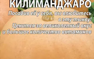 КИЛИМАНДЖАРО