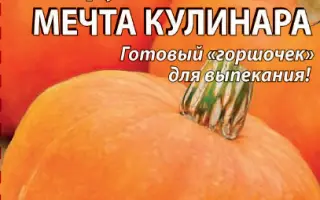 МЕЧТА КУЛИНАРА