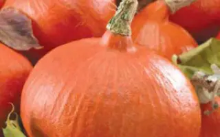 СЛАДКИЕ КАРАВАИ