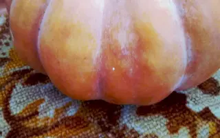 ОСЕННЯЯ КРАСАВИЦА