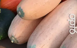 РОЗОВЫЙ ПОРОСЁНОК