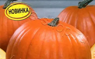 ЗОЛОТАЯ БОЧКА