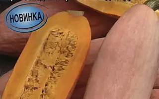 РОЗОВАЯ ТОРПЕДА