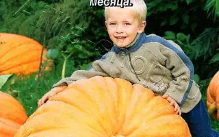 НЕБЫВАЛЫЙ РАЗМАХ