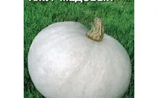 АЖУР МЕДОВЫЙ