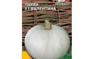 ВАЛЕНТИНА