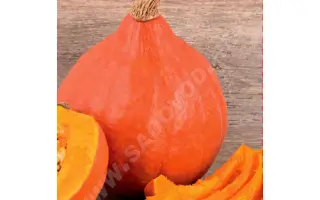 КРАСНАЯ МАЛЫШКА